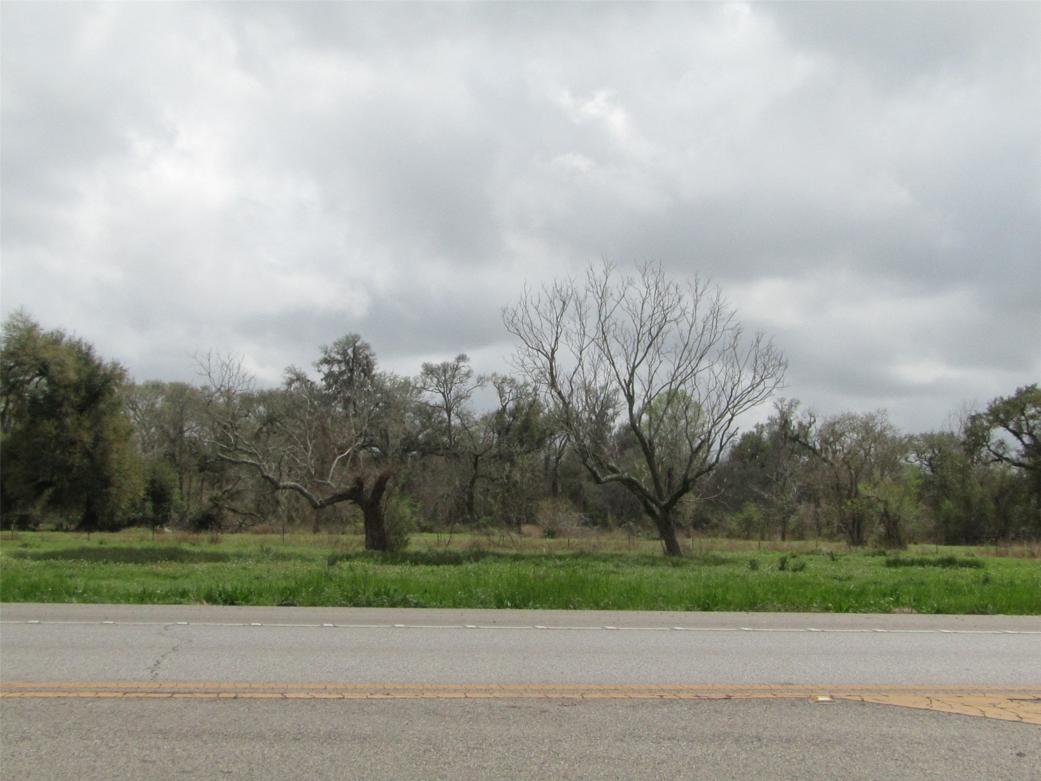 2481 FM 521 Road Brazoria, TX 77422 - Photo 4 of 9 a view of a yard
