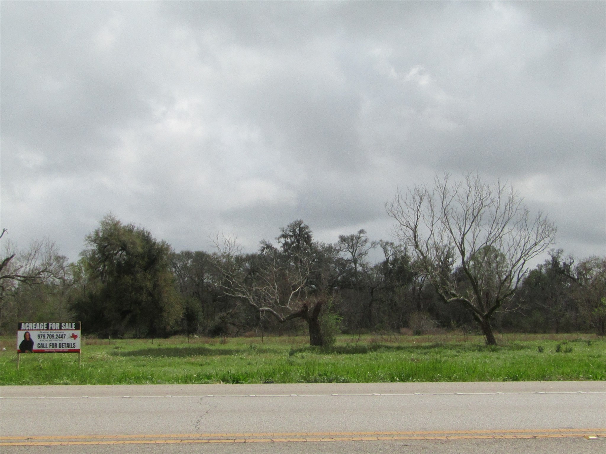 2481 FM 521 Road Brazoria, TX 77422 - Photo 5 of 9 a view of a yard