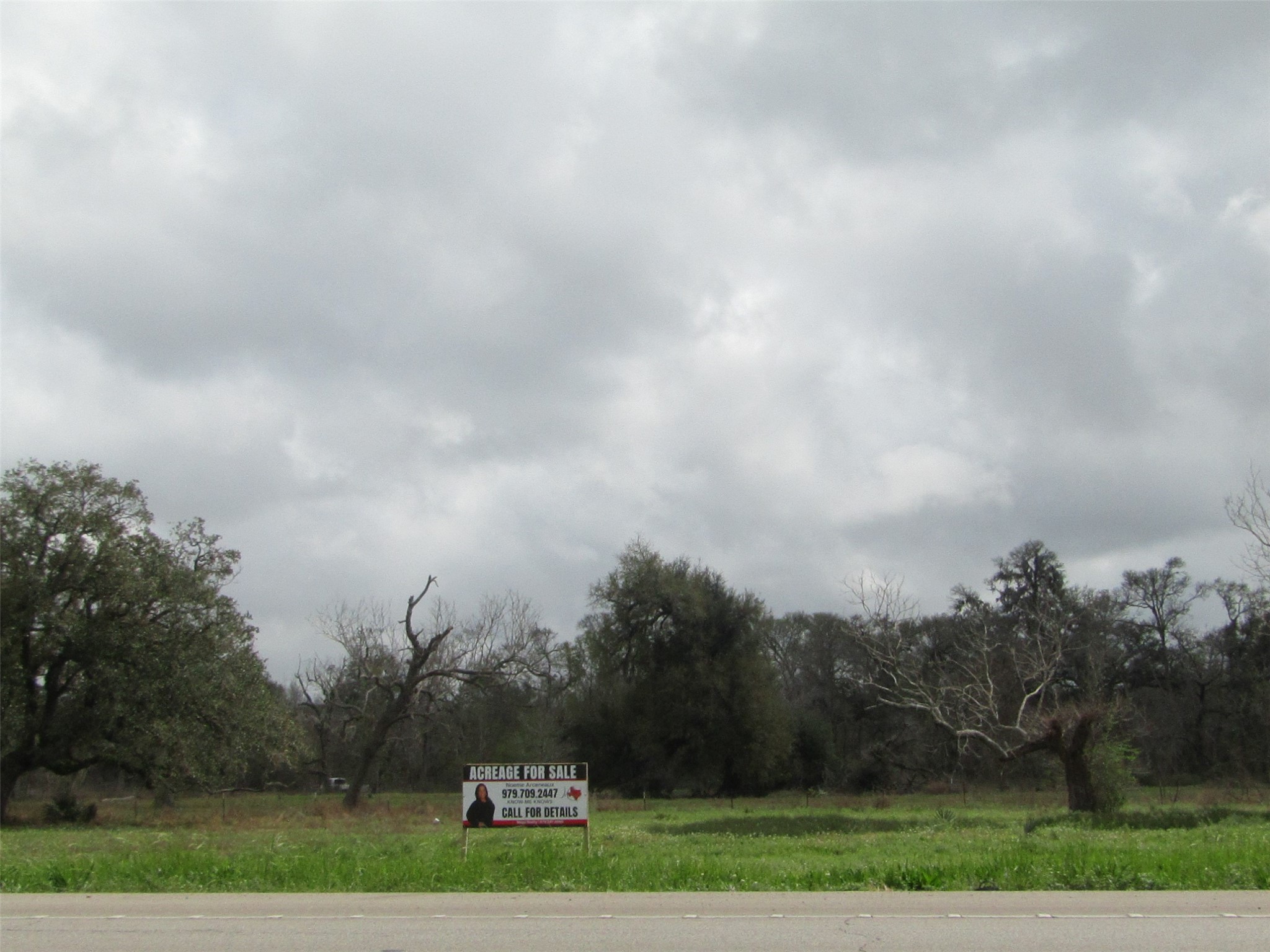 2481 FM 521 Road Brazoria, TX 77422 - Photo 6 of 9 a view of a big green field with trees in the background