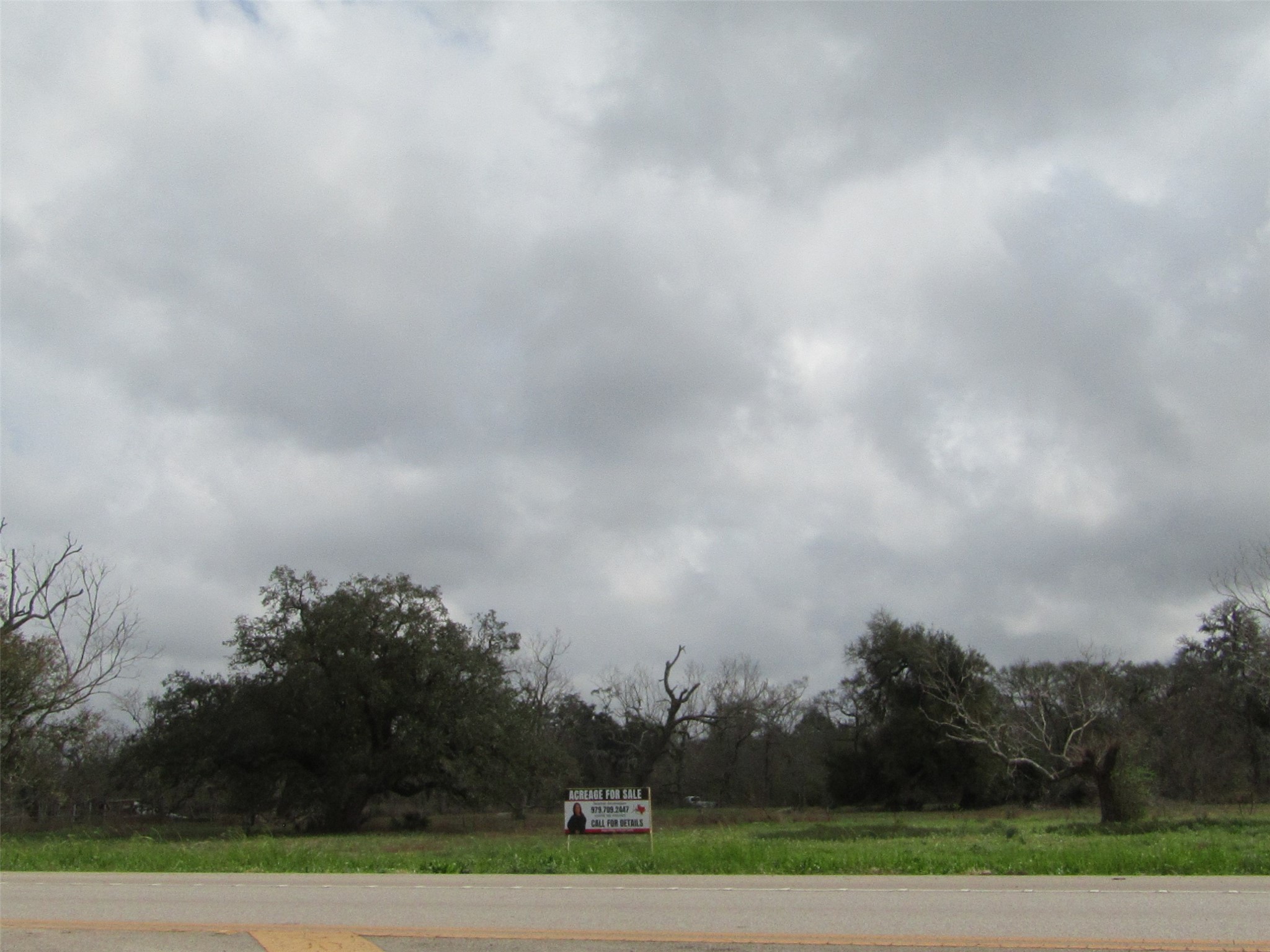 2481 FM 521 Road Brazoria, TX 77422 - Photo 9 of 9 a view of a big yard with large trees