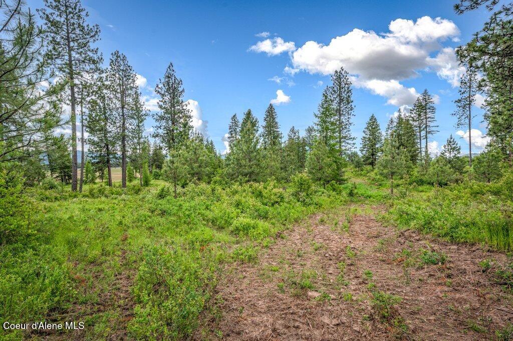 1 Freedom Way Road Plummer, ID 83851 - Photo 33 of 34 --44.jpg-SMALL