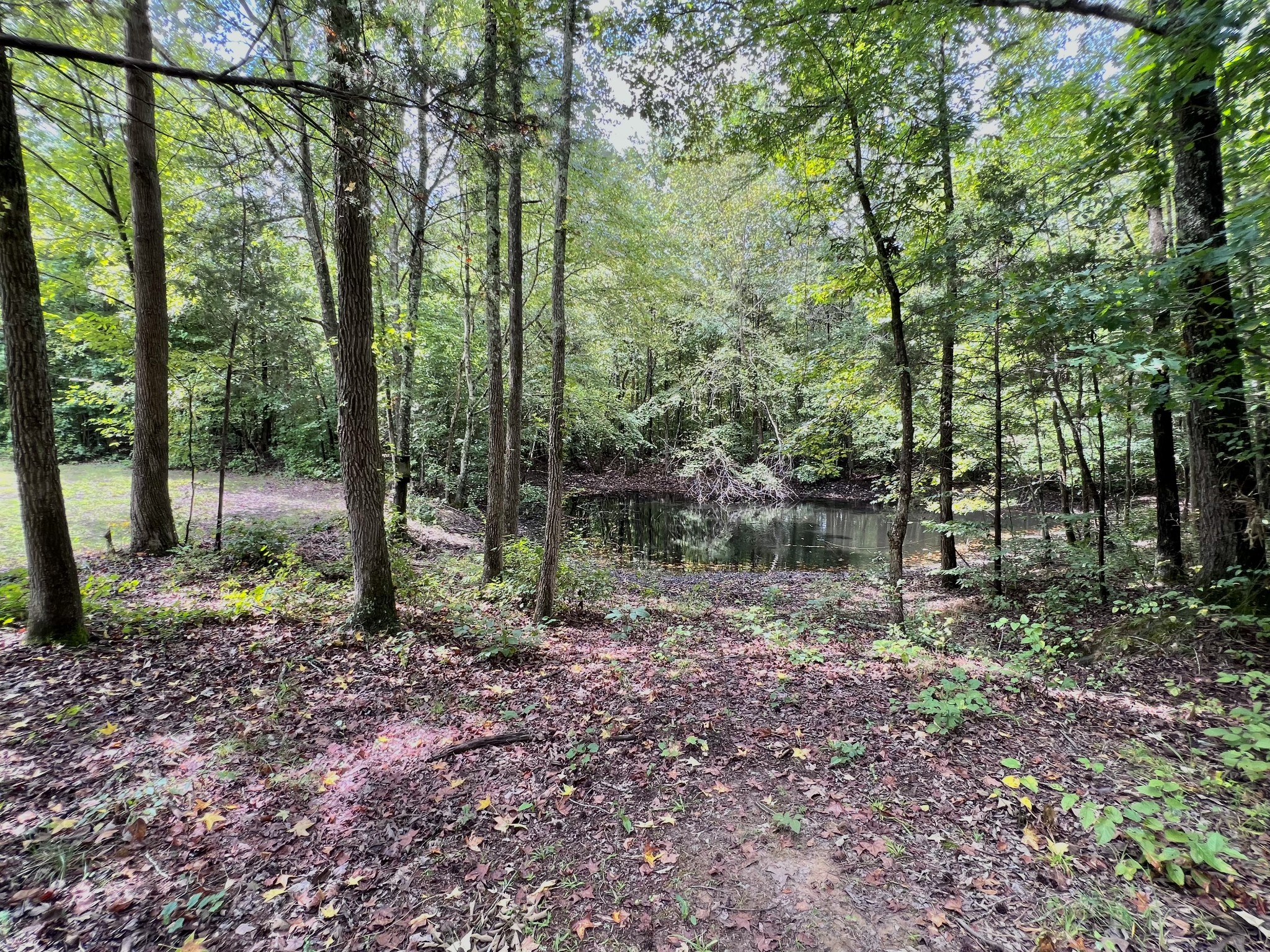 765 Kennon Road Camden, TN 38320 - Photo 25 of 30 Gallery Image 25