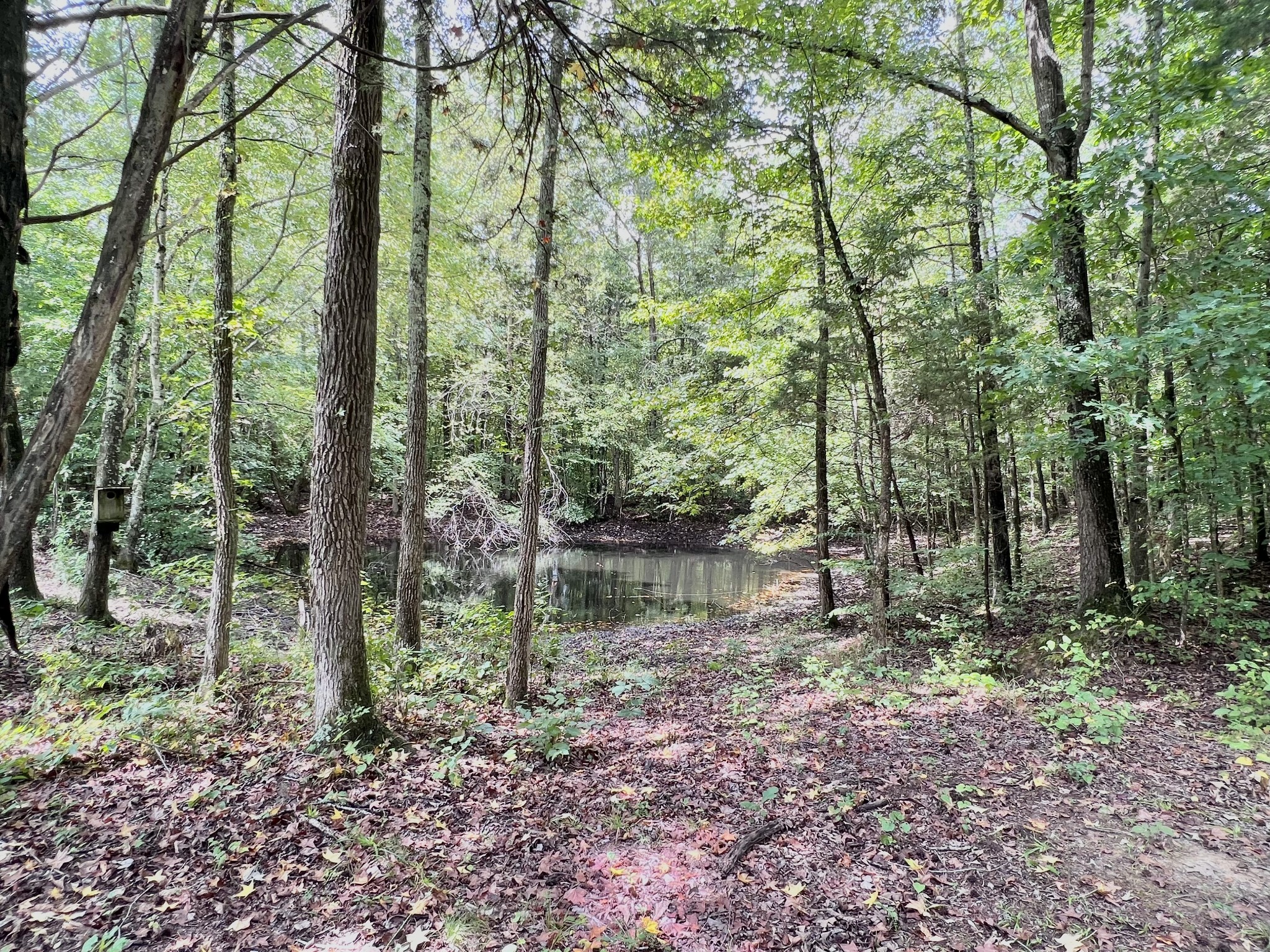 765 Kennon Road Camden, TN 38320 - Photo 26 of 30 Gallery Image 26