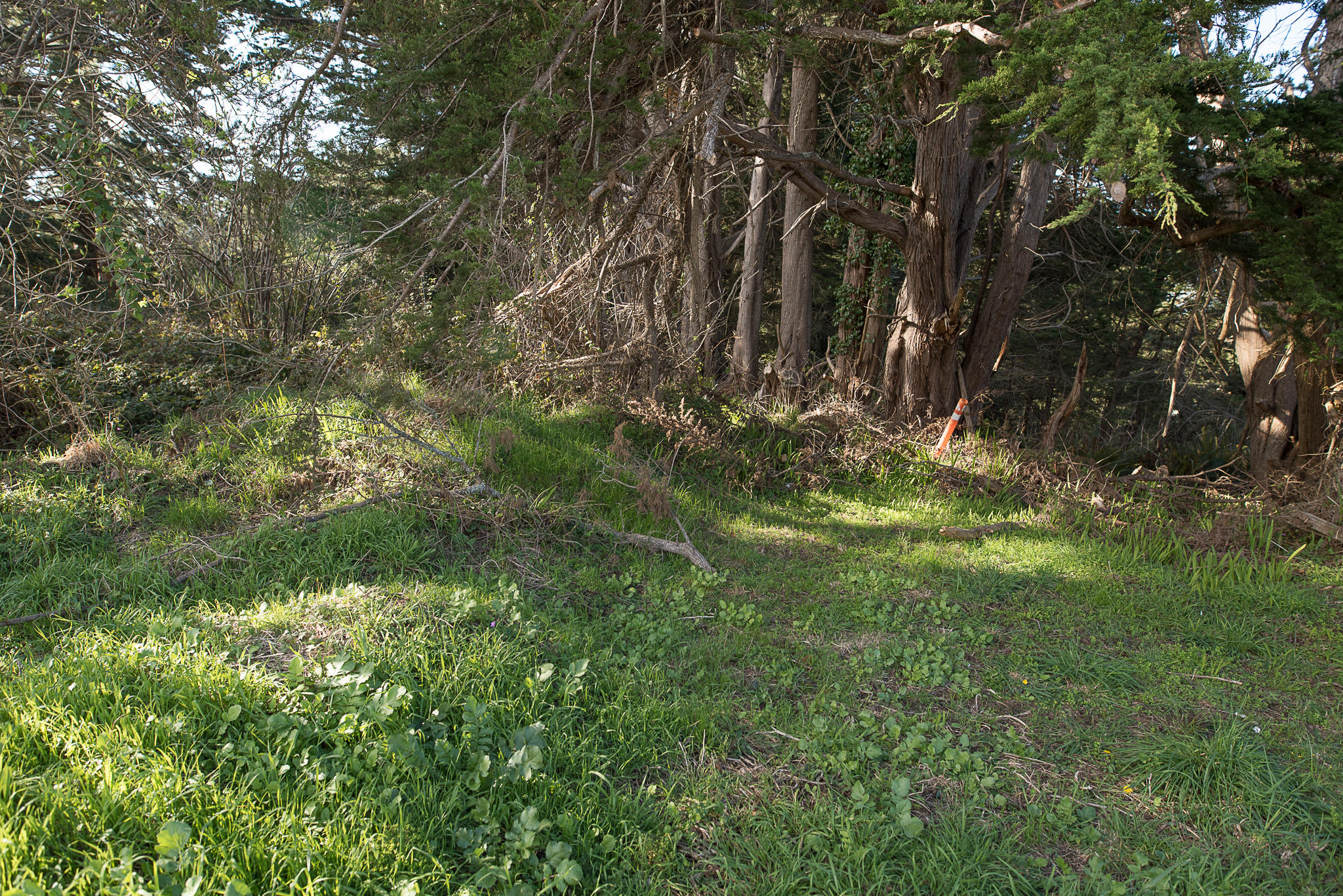 7156 Humboldt Hill Road Eureka, CA 95503 - Photo 20 of 31
