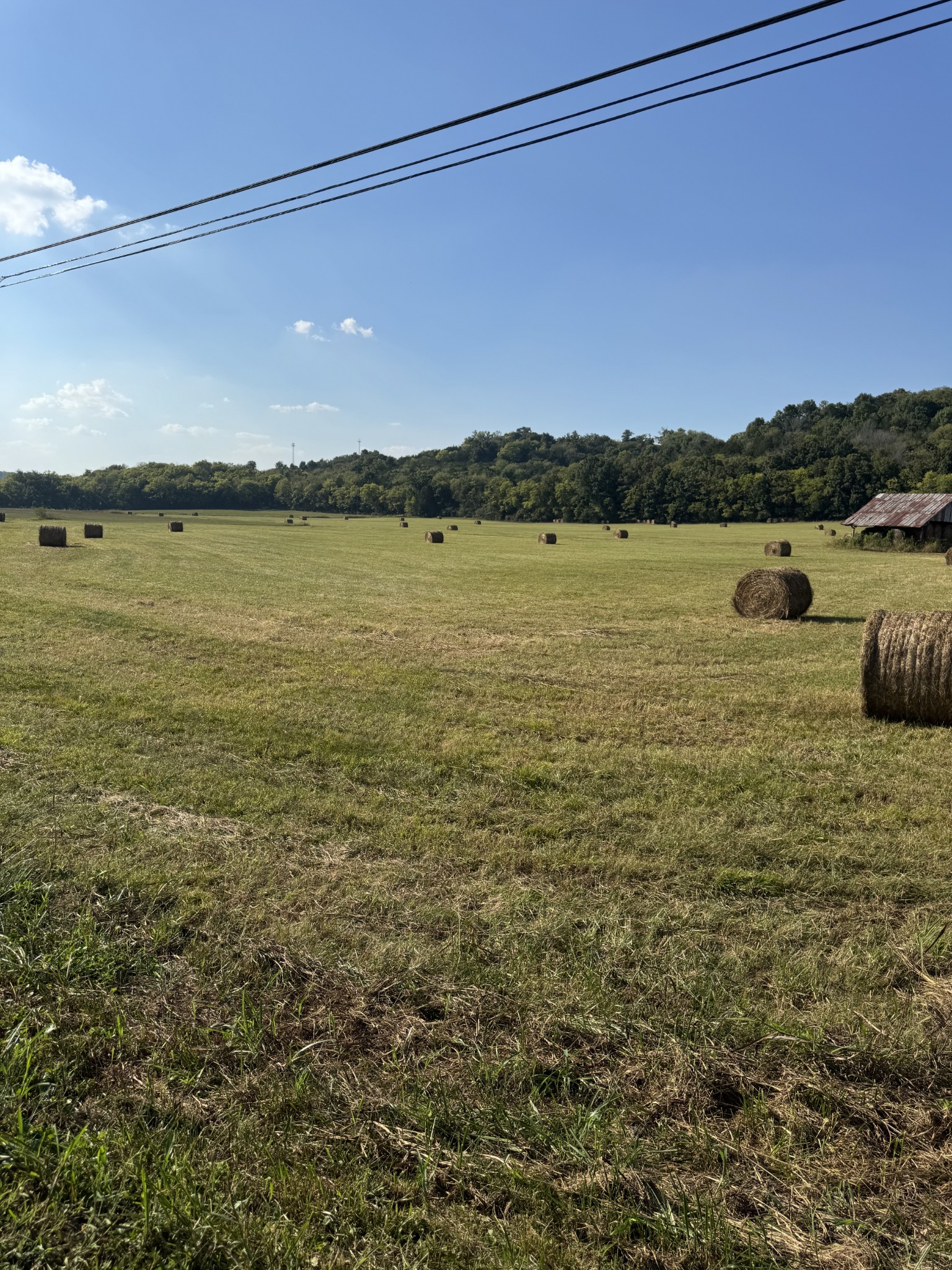 0 Cheatham Springs Road Wartrace, TN 37183 - Photo 8 of 9