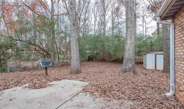 a view of a house with a large tree in front of it