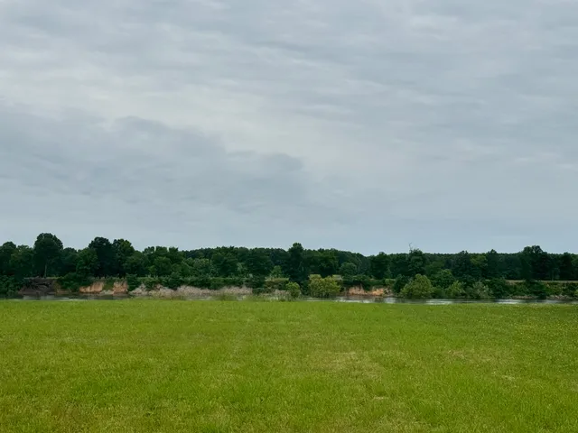 a view of outdoor space and yard