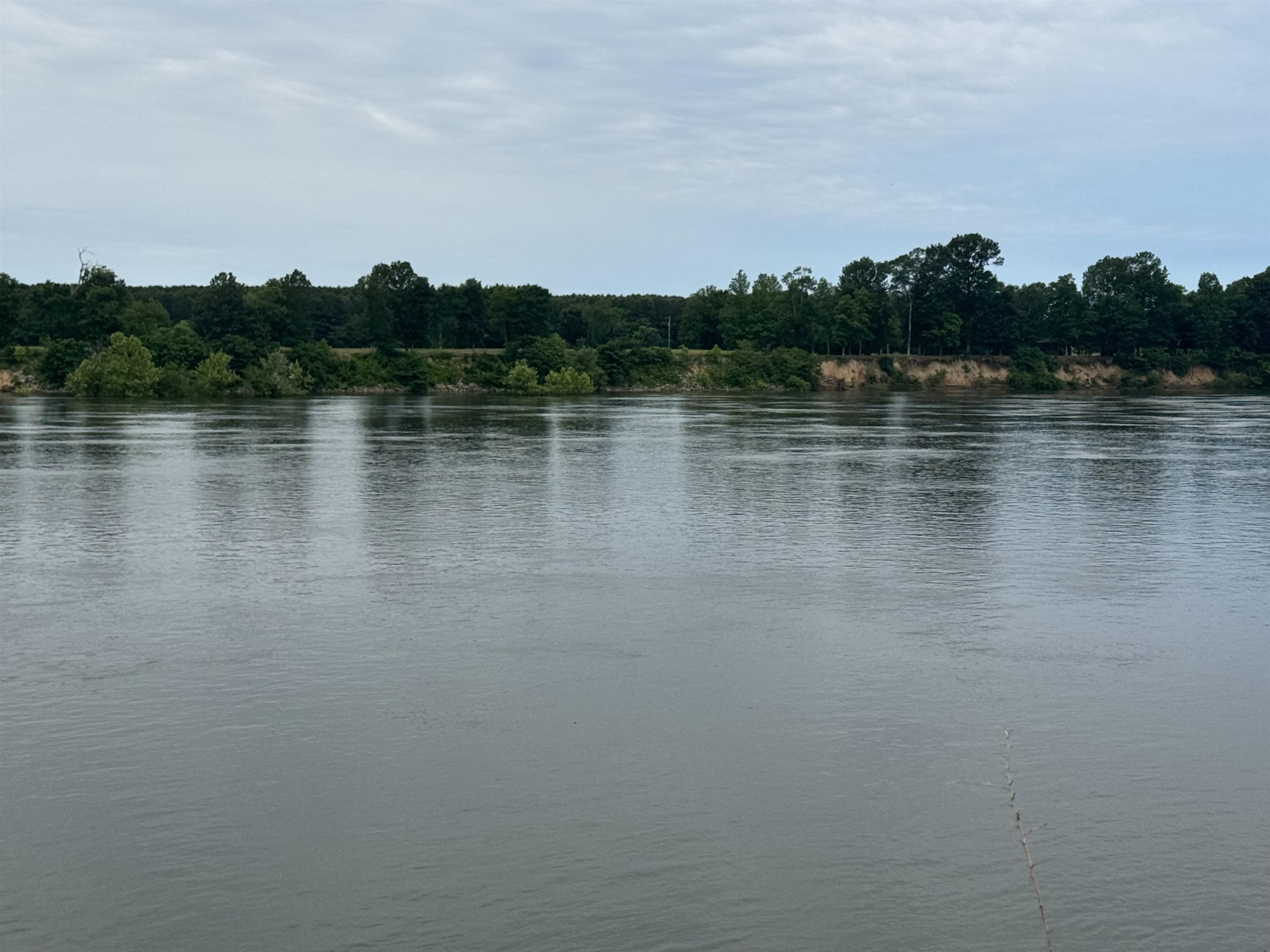 Lot 29 Declan Lane Savannah, TN 38372 - Photo 2 of 9 a view of lake