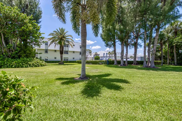 a view of a yard with palm trees