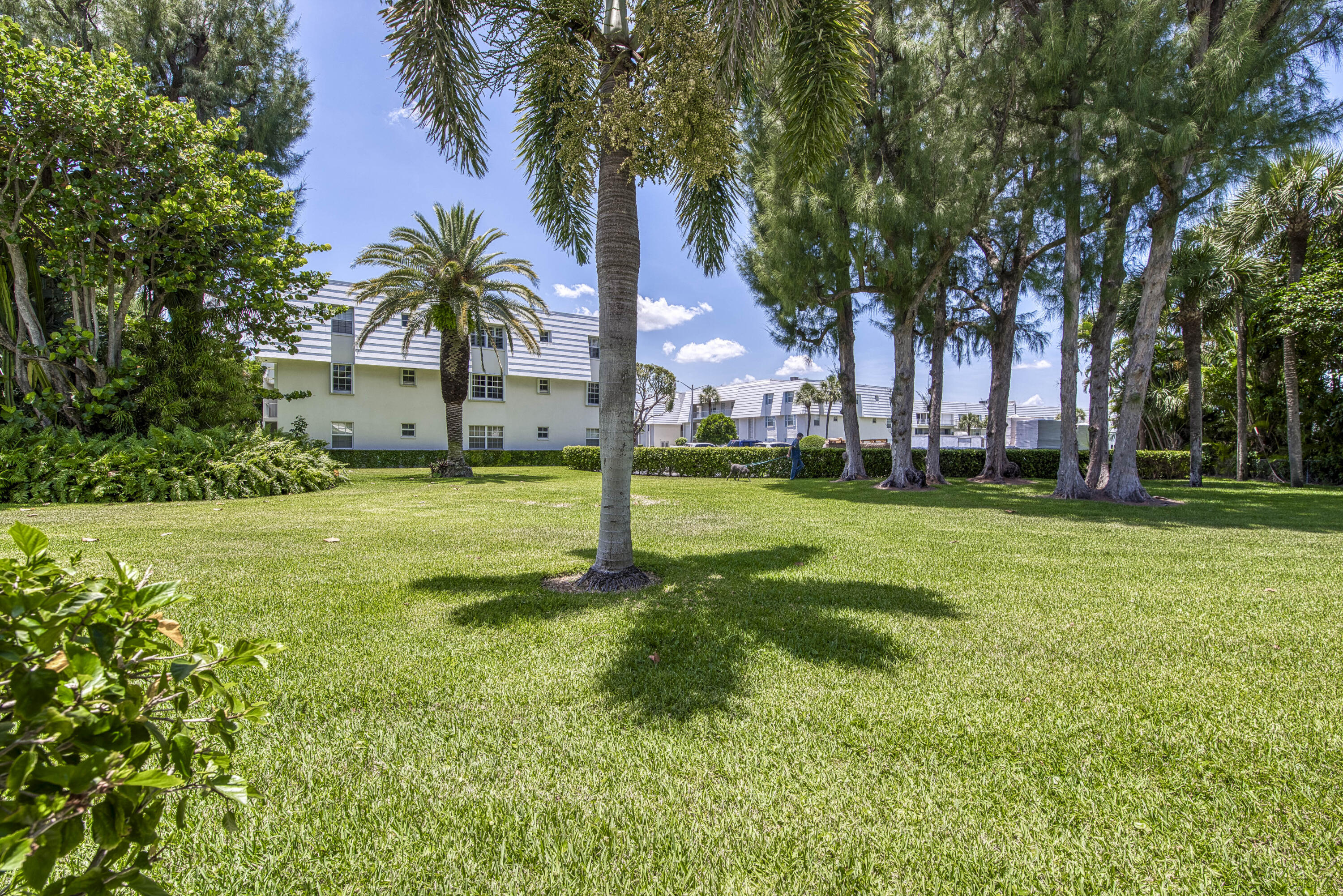 1205 Sandy Lane, Unit 149 Singer Island, FL 33404 - Photo 9 of 28 a view of a yard with palm trees