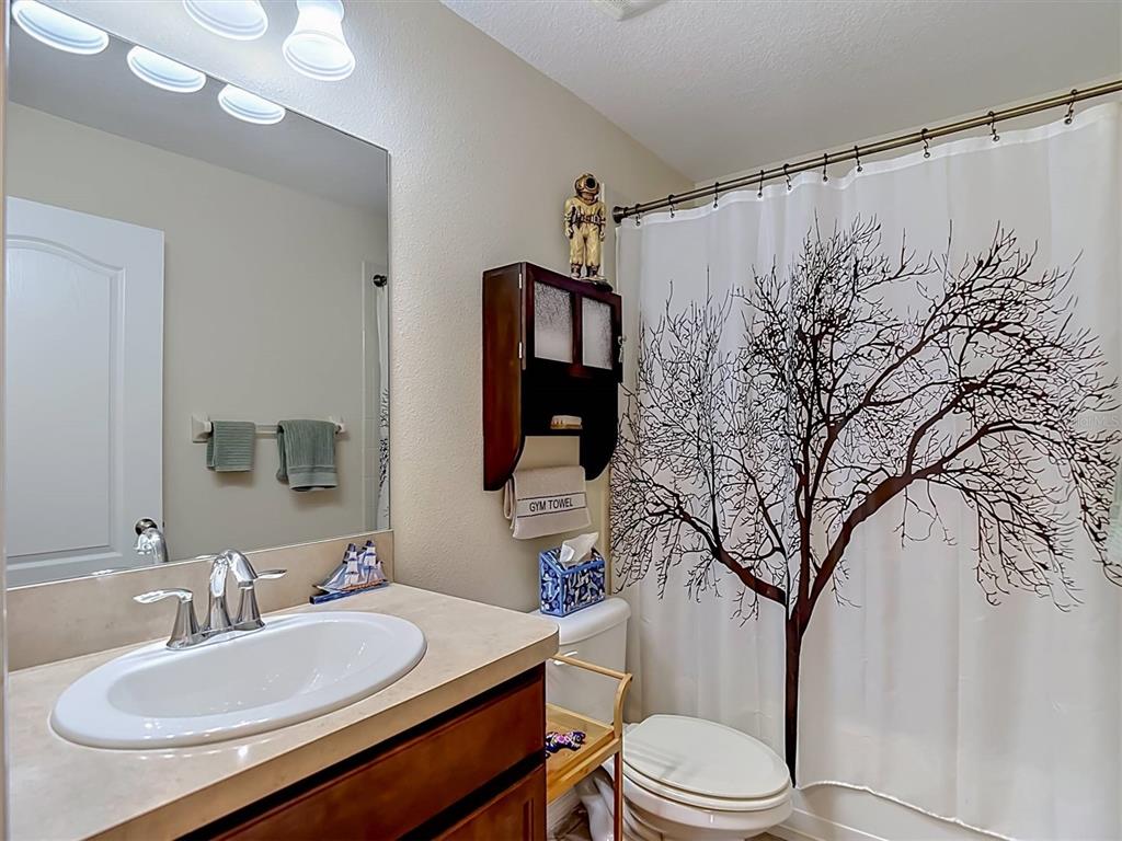 9838 Trumpet Vine Loop Trinity, FL 34655 - Photo 35 of 46