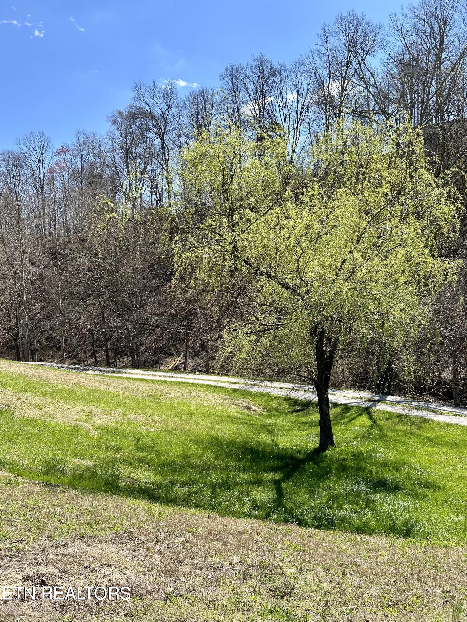 409 Kettle Hollow Road Maynardville, TN 37807 - Photo 41 of 52 IMG_0086