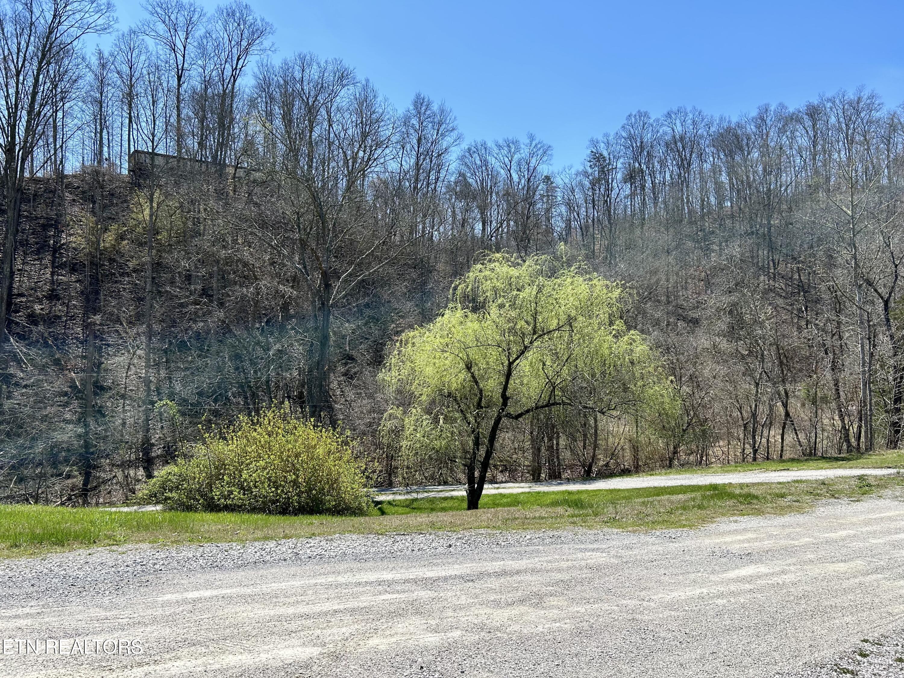 409 Kettle Hollow Road Maynardville, TN 37807 - Photo 45 of 52 IMG_0073