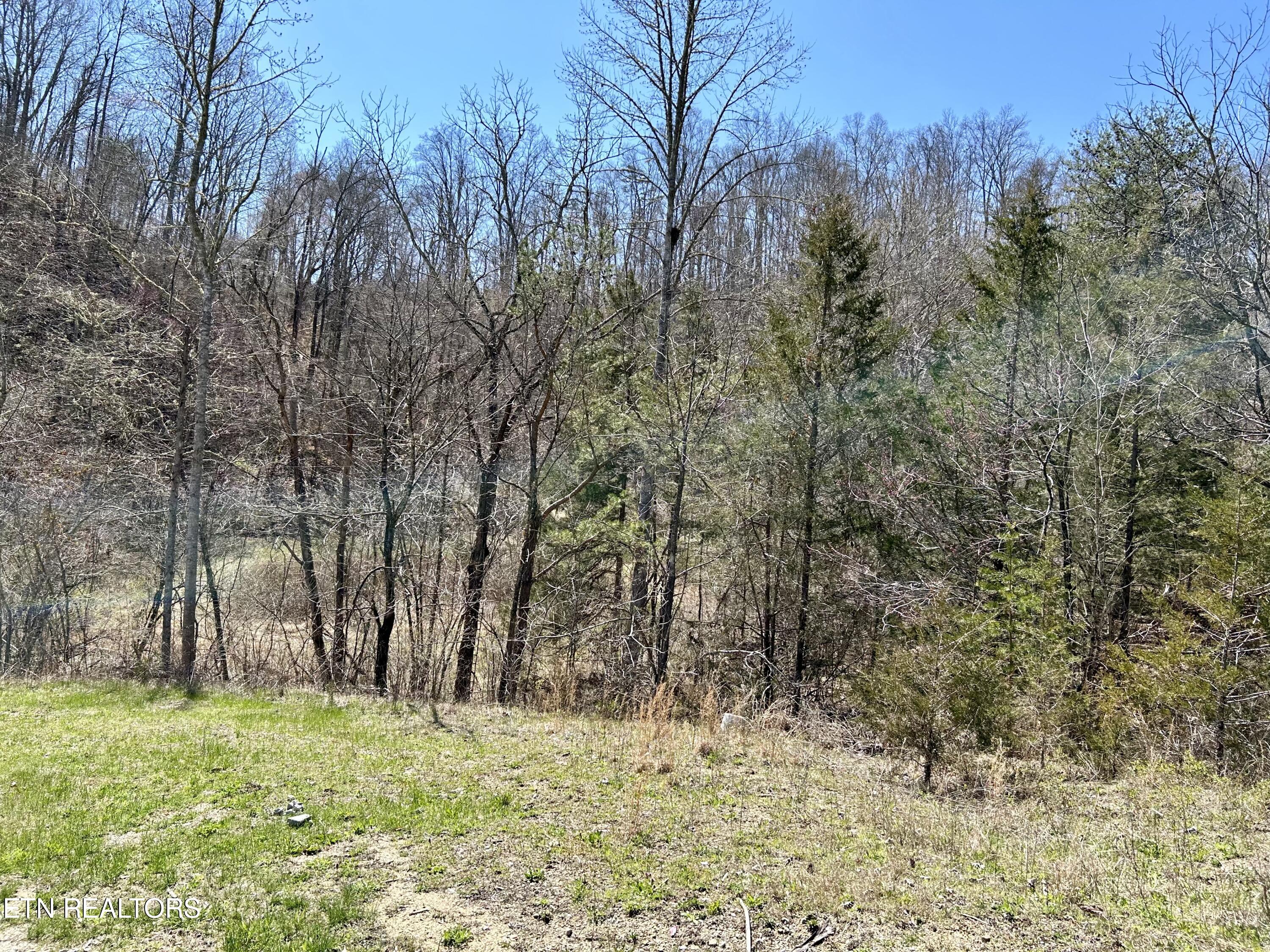 409 Kettle Hollow Road Maynardville, TN 37807 - Photo 46 of 52 IMG_0085