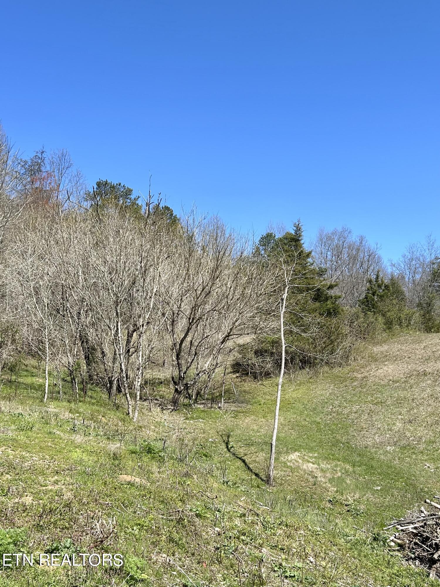 409 Kettle Hollow Road Maynardville, TN 37807 - Photo 47 of 52 IMG_0084