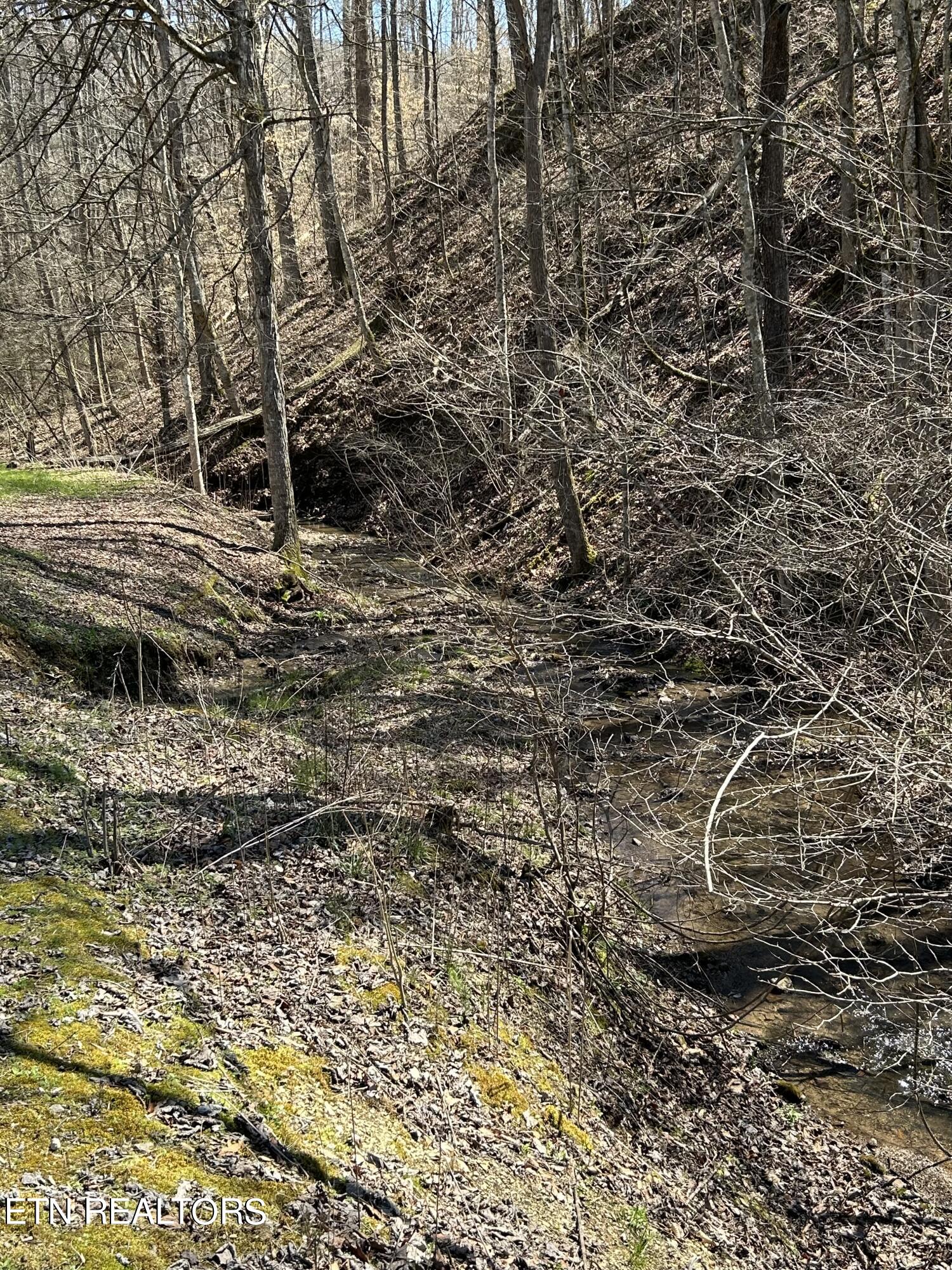409 Kettle Hollow Road Maynardville, TN 37807 - Photo 48 of 52 IMG_0094