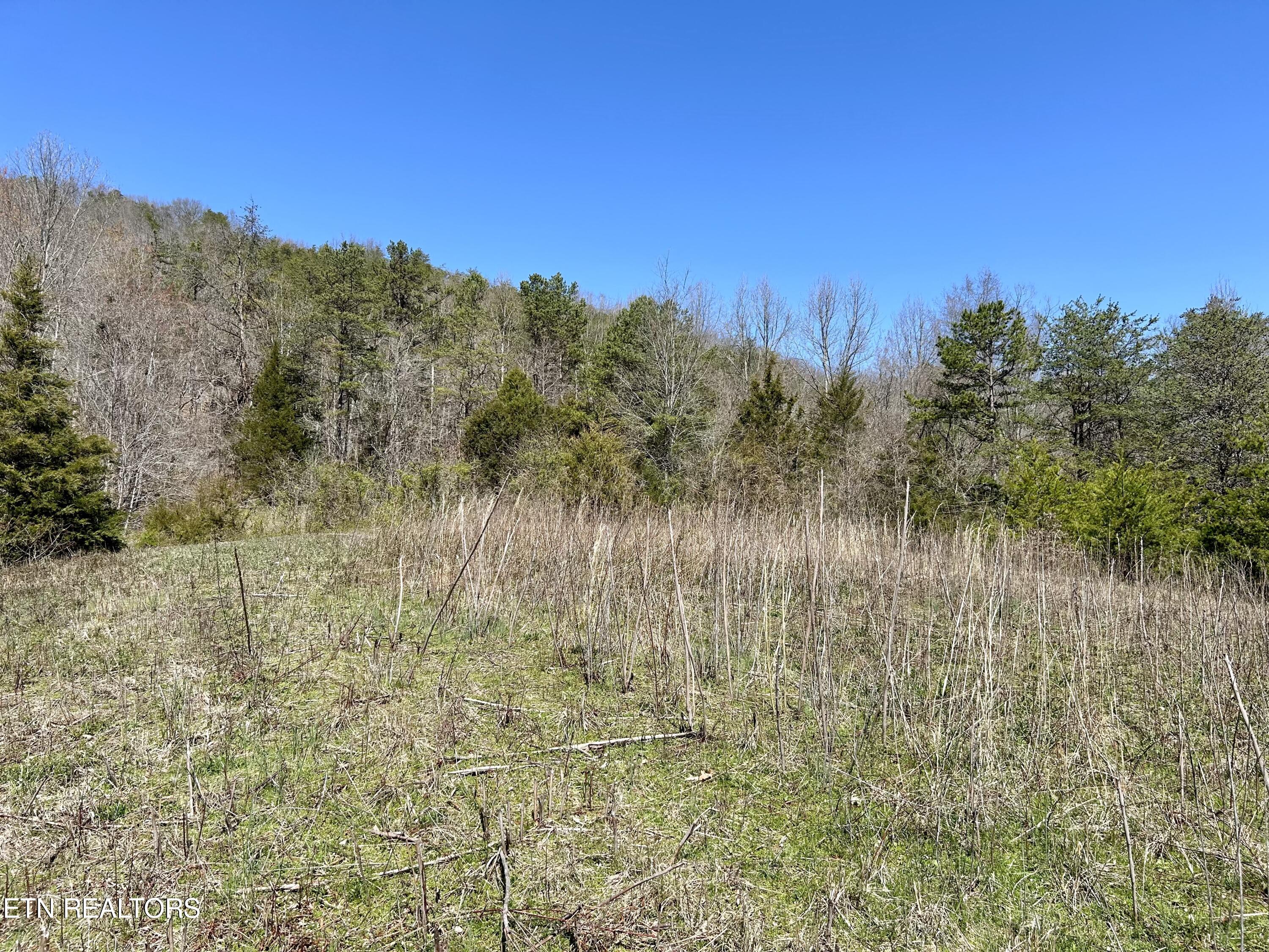 409 Kettle Hollow Road Maynardville, TN 37807 - Photo 49 of 52 IMG_0070