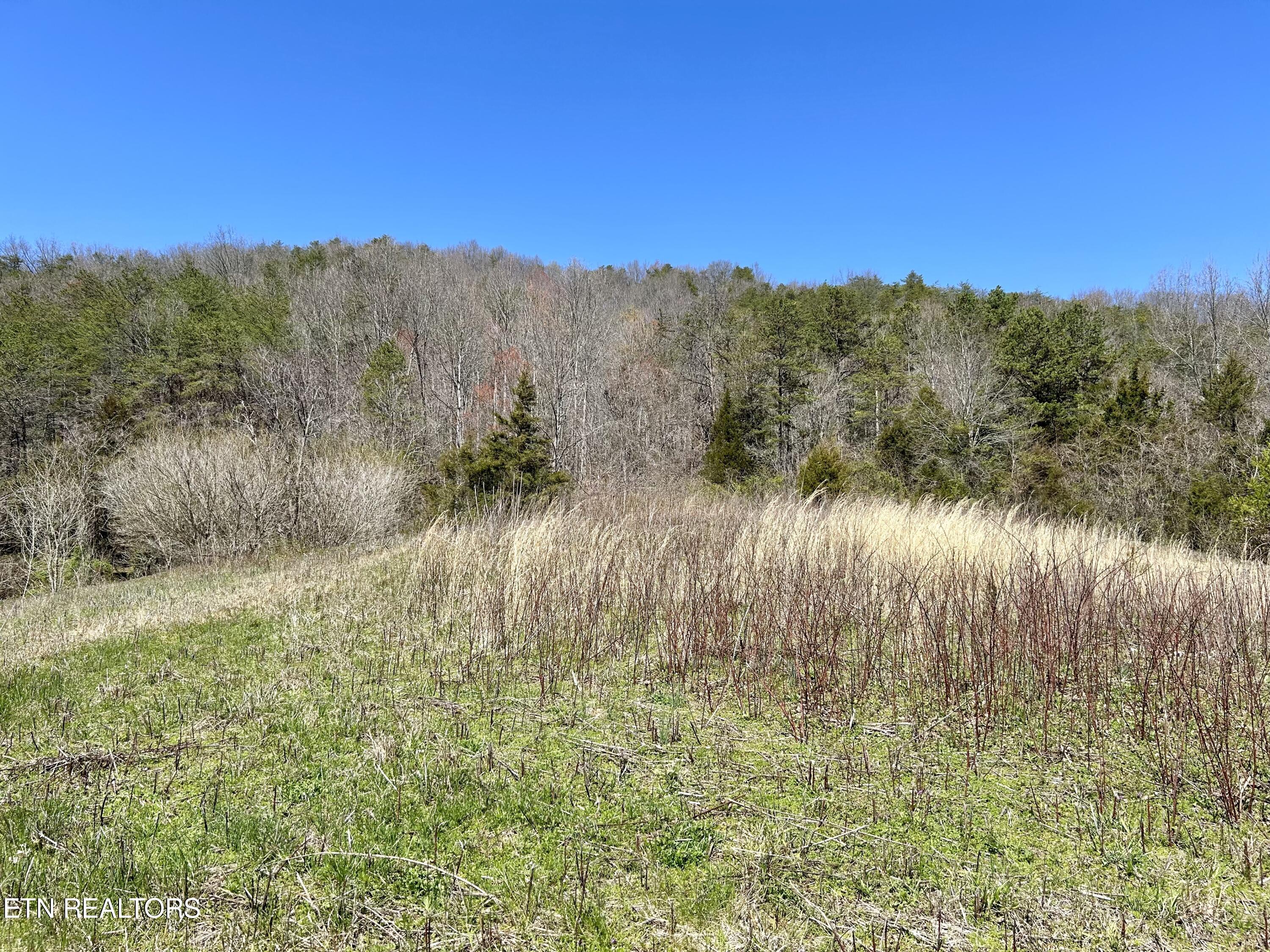 409 Kettle Hollow Road Maynardville, TN 37807 - Photo 51 of 52 IMG_0065