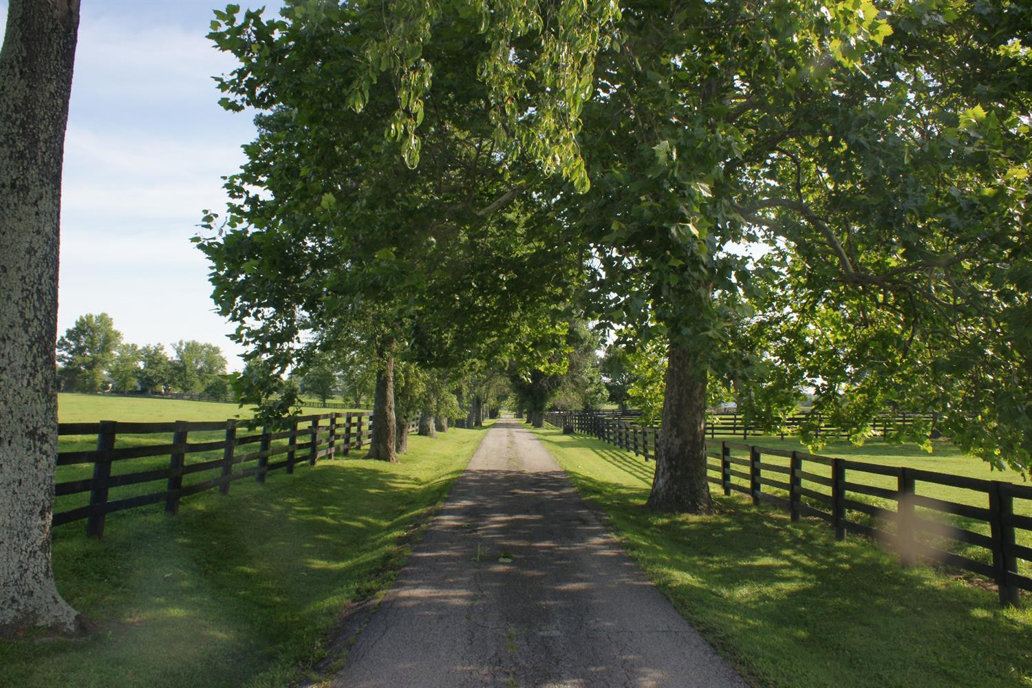 187 Harp Innis Road Lexington, KY 40511 - Photo 1 of 10 Photo 1
