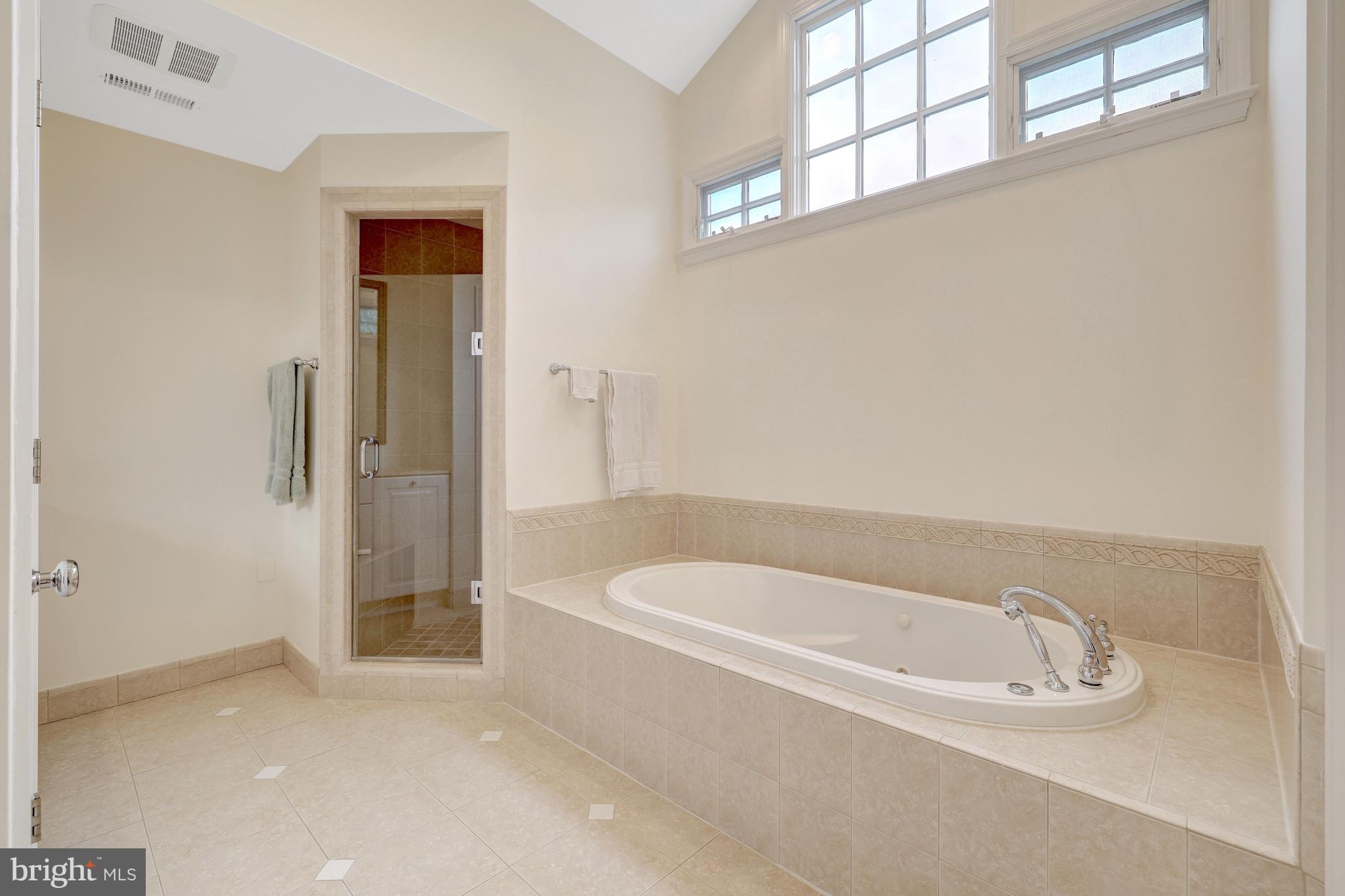 911 Rail Court McLean, VA 22102 - Photo 32 of 63 Separate Shower & Tub