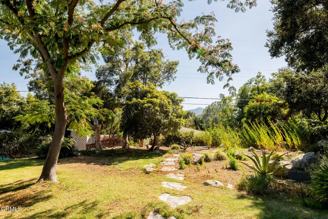 a view of yard along with trees