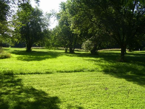 509 La Moille Road, Unit 2408 Sublette, IL 61367 - Photo 3 of 14 a view of field with trees in the background