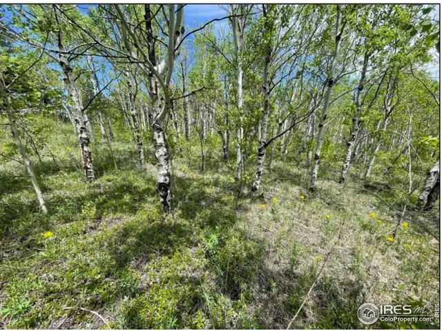 $1,150,000 | 11320 Gold Hill Road, Boulder, CO 80302