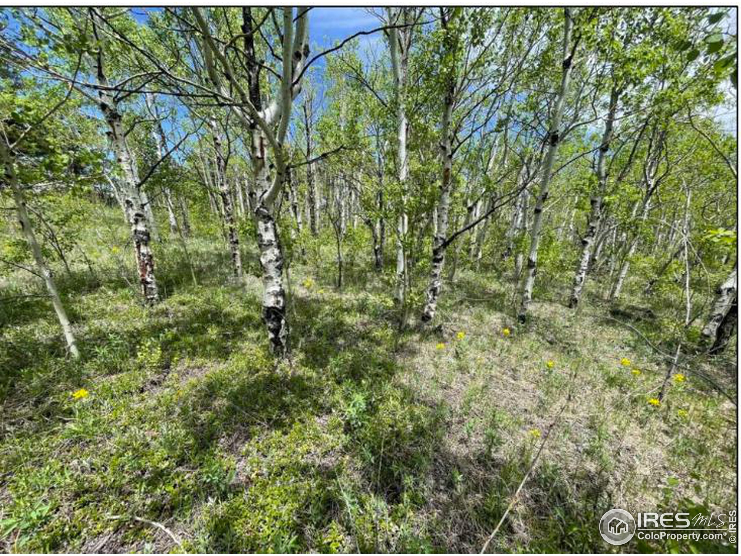 11320 Gold Hill Road Boulder, CO 80302 - Photo 6 of 11