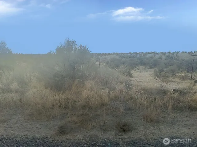 a view of a dry yard with mountains in the background