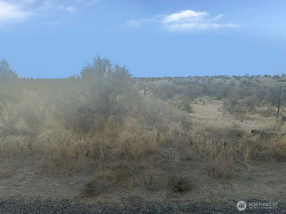 9973 Se Road South Warden, WA 98857 - Photo 6 of 8 a view of a dry yard with mountains in the background