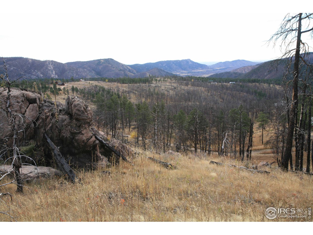 Davis Ranch Road Bellvue, CO 80512 - Photo 1 of 35 Gallery Image 1