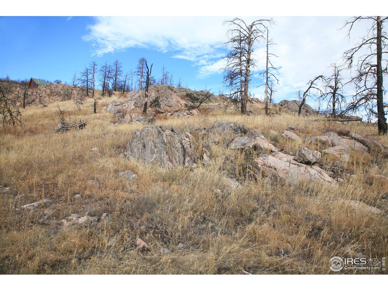 Davis Ranch Road Bellvue, CO 80512 - Photo 15 of 35 Gallery Image 15