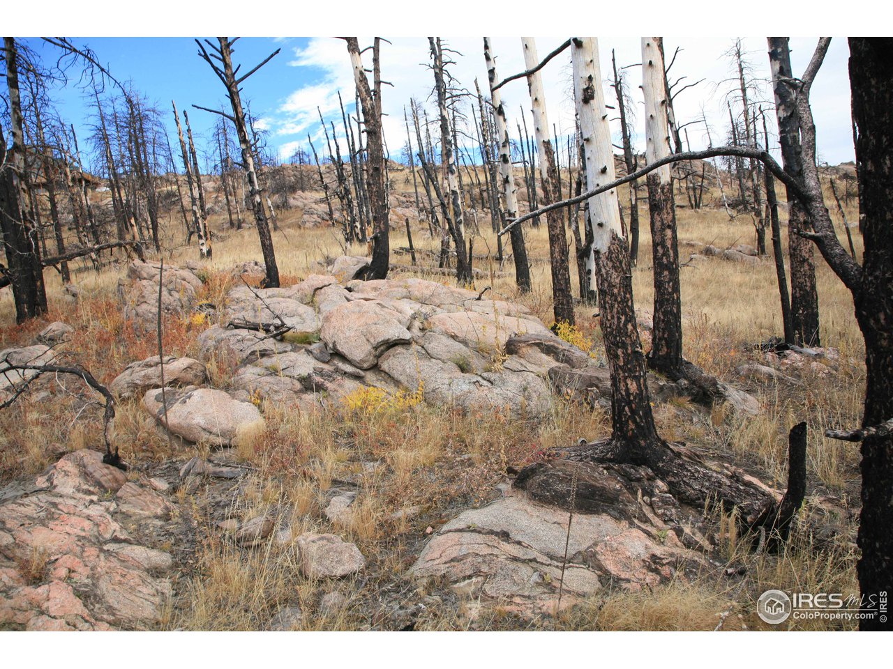 Davis Ranch Road Bellvue, CO 80512 - Photo 23 of 35 Gallery Image 23