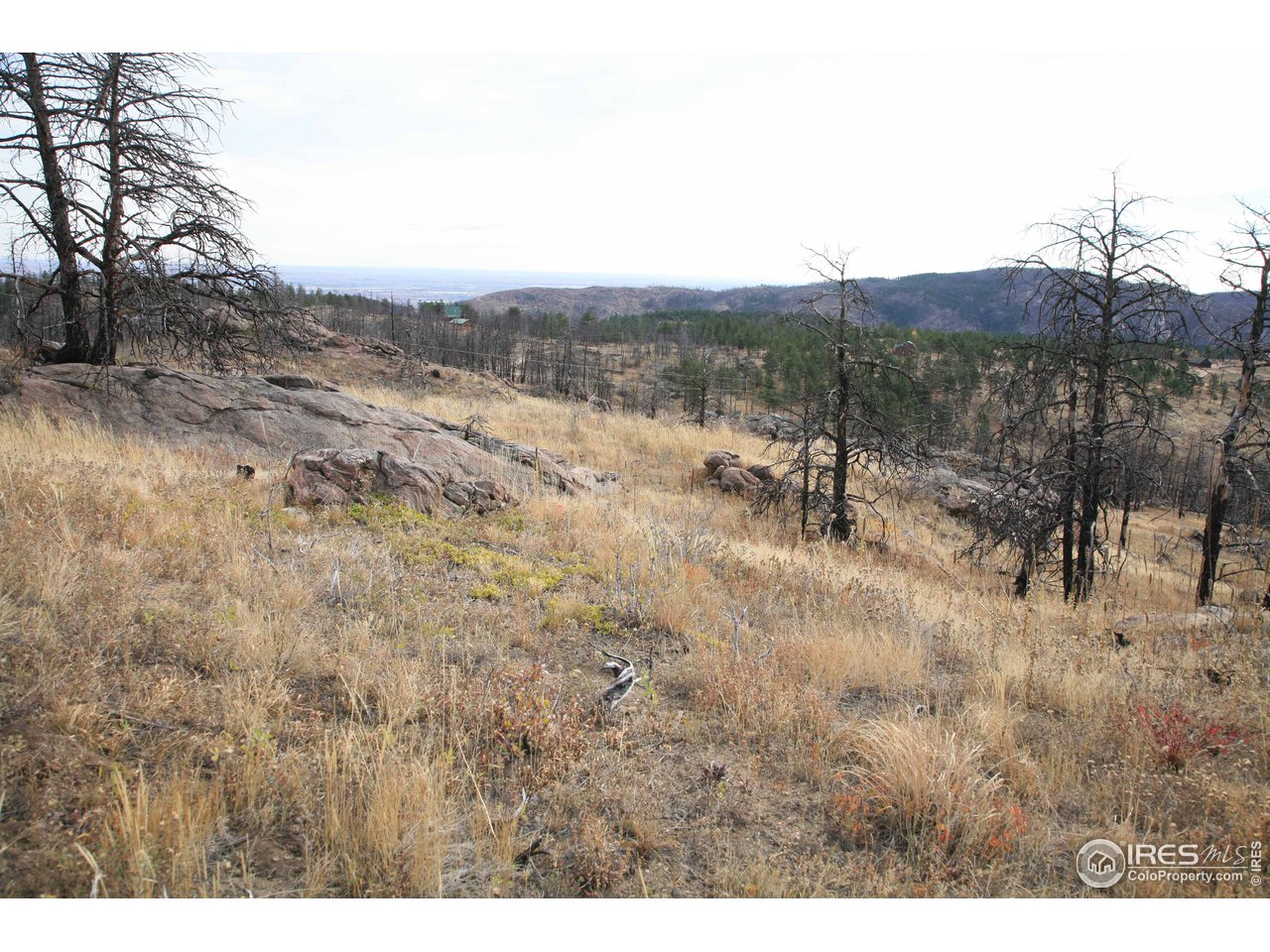 Davis Ranch Road Bellvue, CO 80512 - Photo 24 of 35 Gallery Image 24