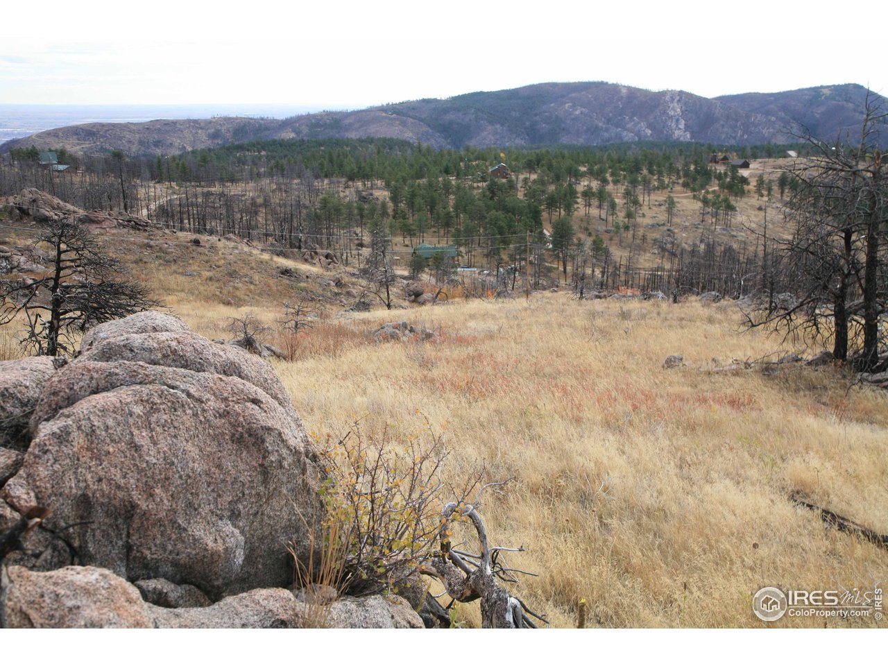 Davis Ranch Road Bellvue, CO 80512 - Photo 27 of 35 Gallery Image 27
