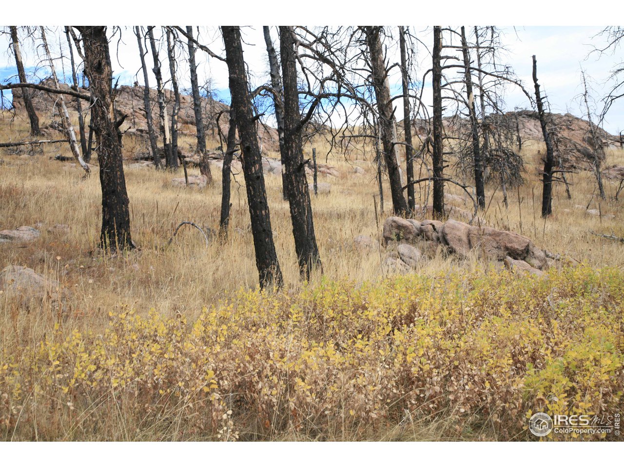 Davis Ranch Road Bellvue, CO 80512 - Photo 28 of 35 Gallery Image 28