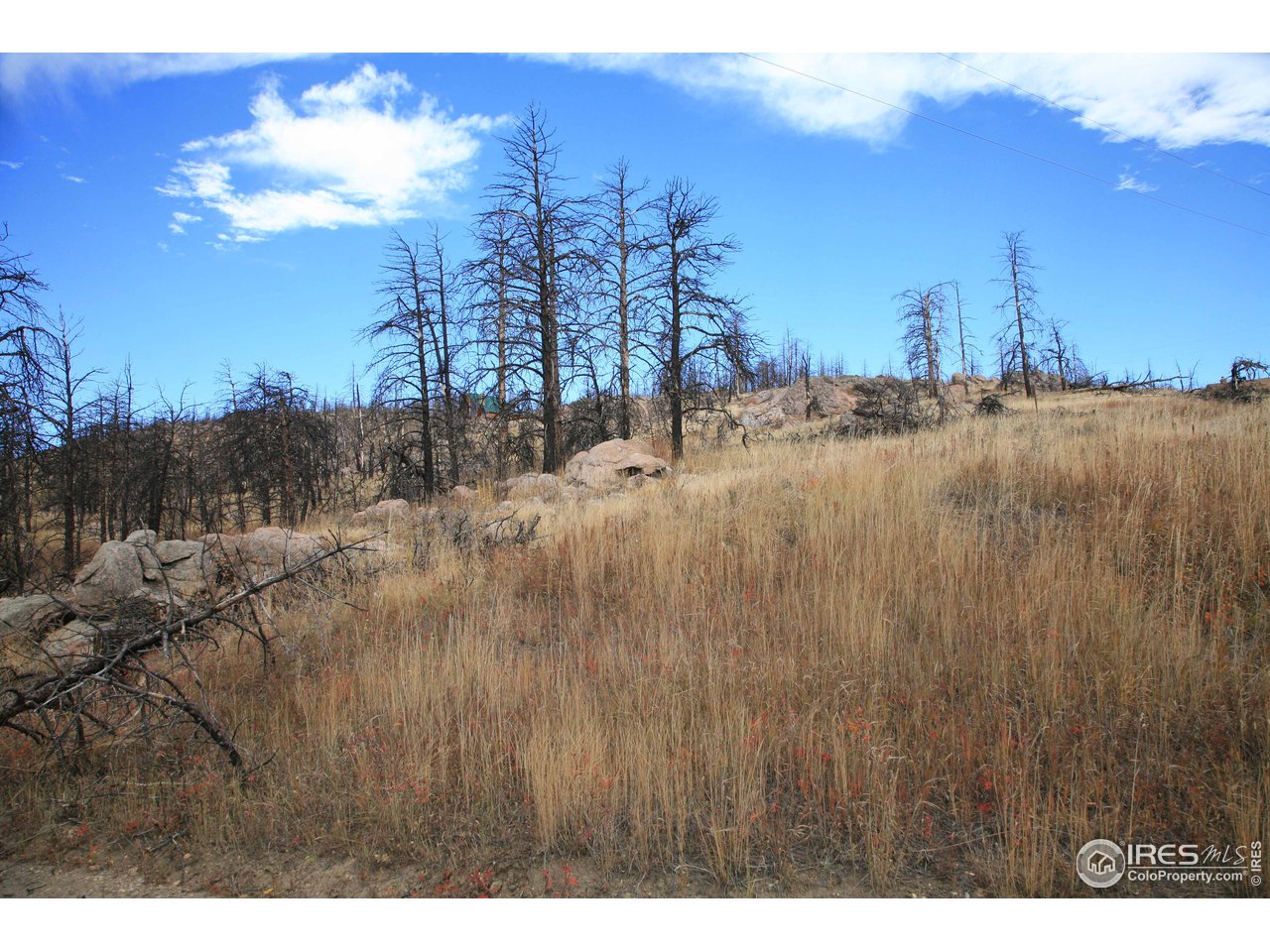 Davis Ranch Road Bellvue, CO 80512 - Photo 31 of 35 Gallery Image 31