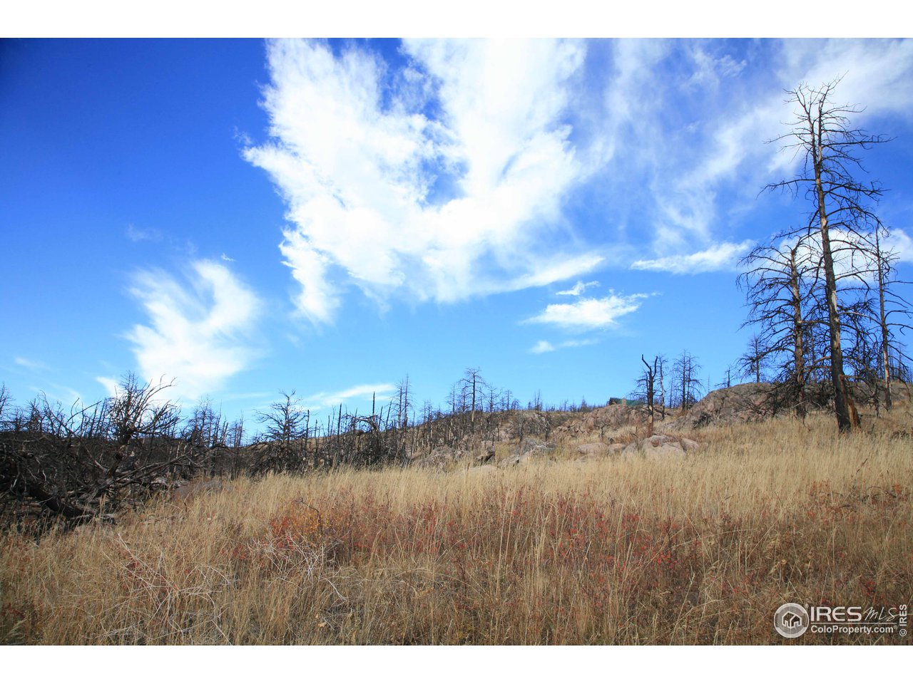 Davis Ranch Road Bellvue, CO 80512 - Photo 34 of 35 Gallery Image 34