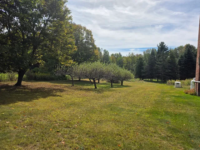 a view of a field with of trees