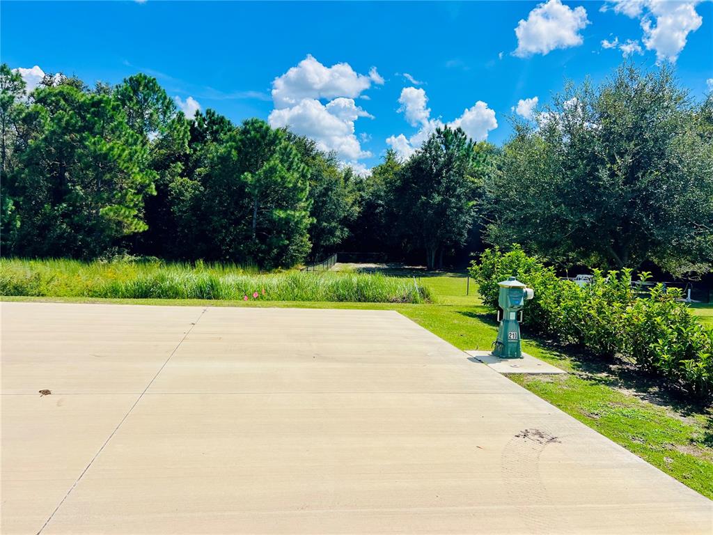 4813 Southeast 92nd Boulevard Webster, FL 33597 - Photo 2 of 21 a view of a backyard of a house