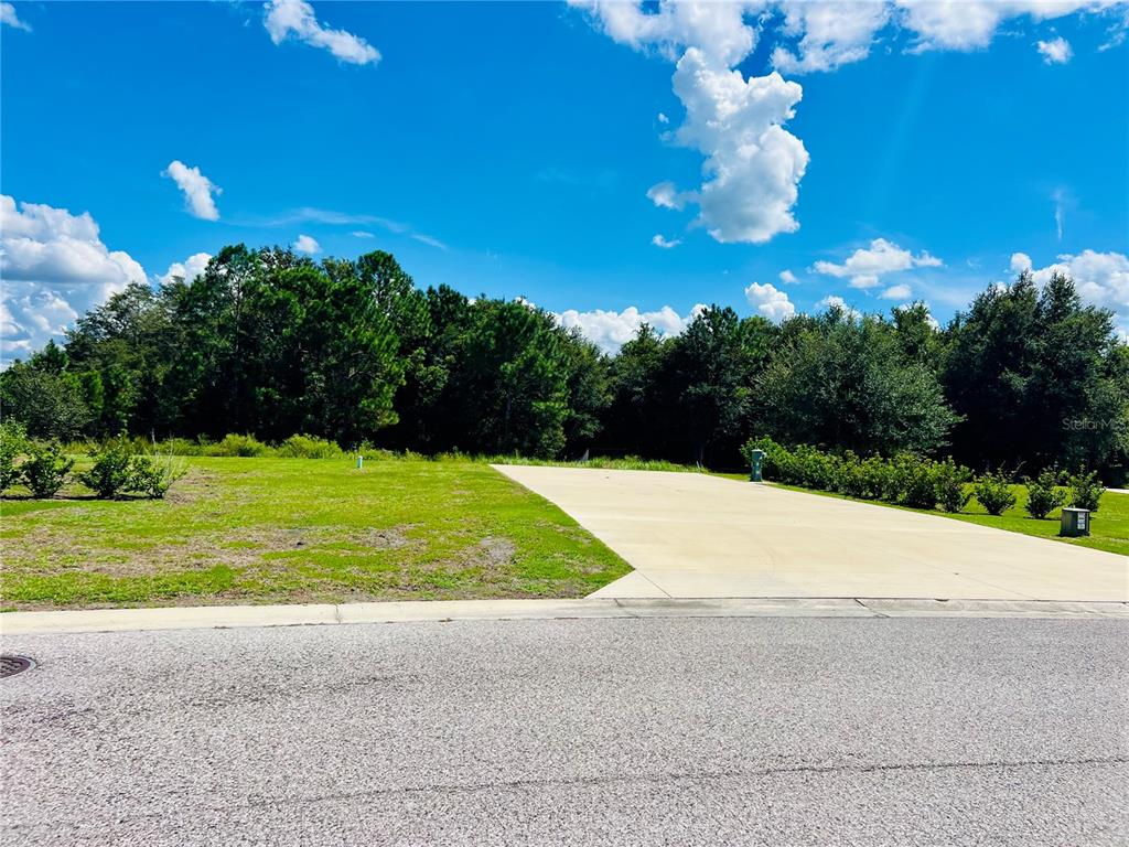 4813 Southeast 92nd Boulevard Webster, FL 33597 - Photo 4 of 21 a view of a golf course with a garden