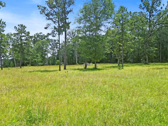 a view of outdoor space with deck and yard