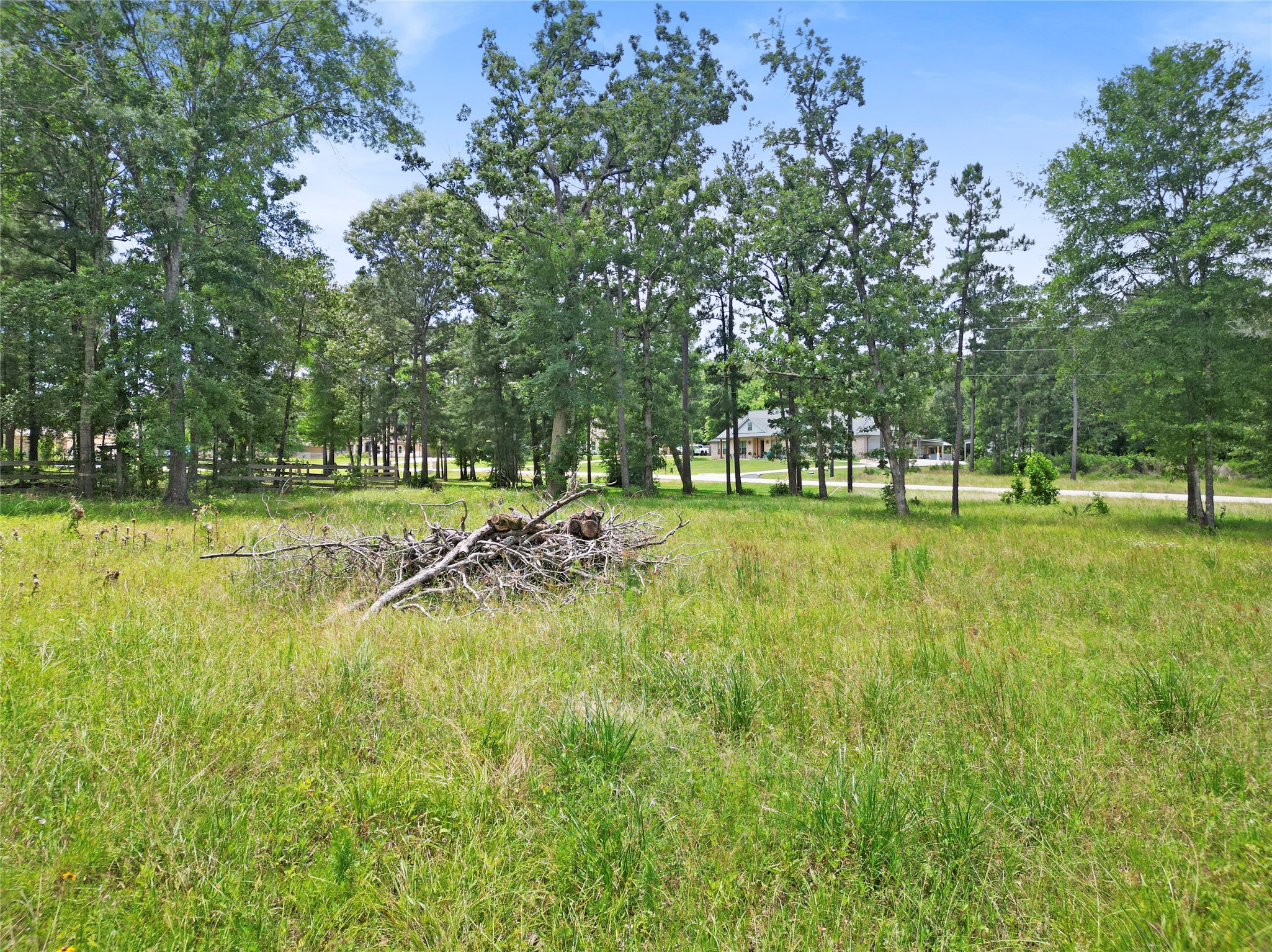 0 Dahlia Road Huntsville, TX 77320 - Photo 7 of 9 a view of a park with a tree in the background