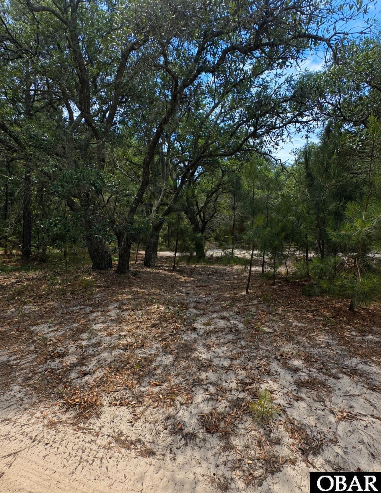 2006 Sea Horse Road Corolla, NC 27927 - Photo 2 of 3