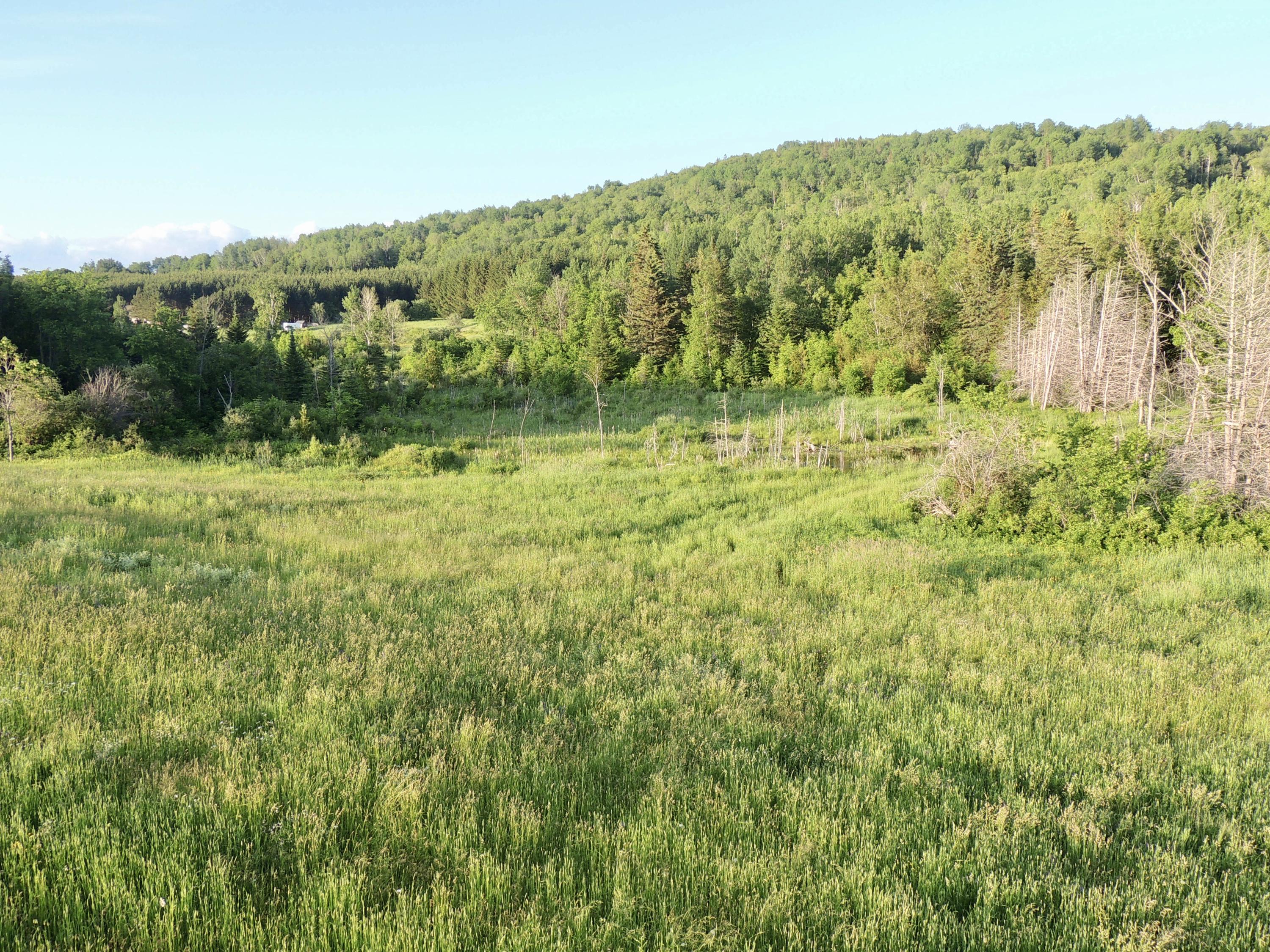 Map7-lot7 West Chapman Road Mapleton, ME 04757 - Photo 18 of 35 fullsizeoutput_cd