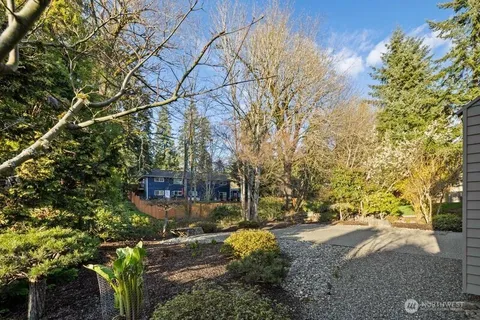 a view of a yard with plants and trees