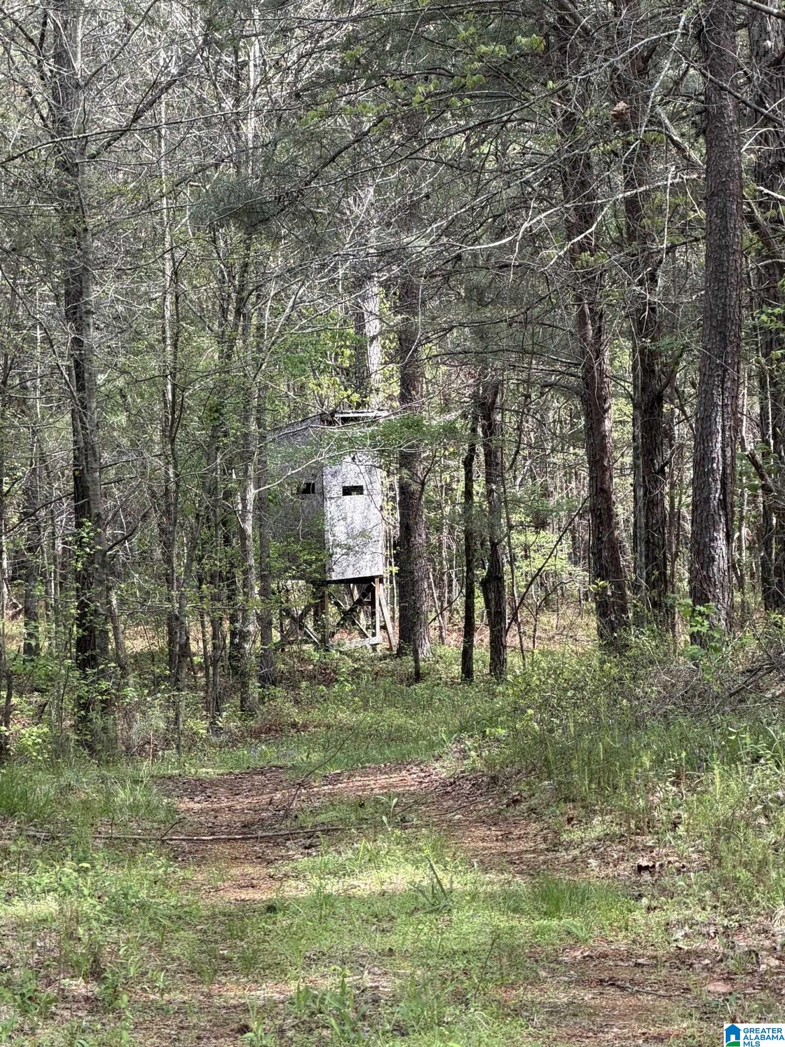 2121 Center Hill Road Trafford, AL 35172 - Photo 81 of 100