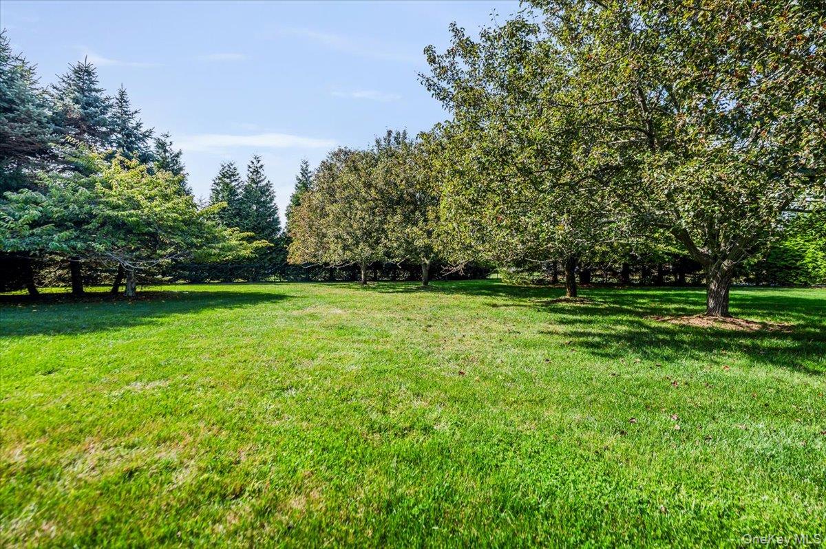 525 Rocky Point Road East Marion, NY 11939 - Photo 40 of 48 a view of a grassy field