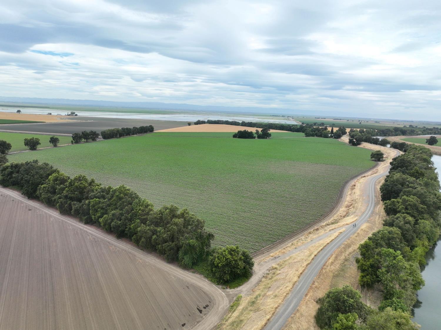 916 Wilson Bend Road Knights Landing, CA 95645 - Photo 88 of 90 Gallery Image 88