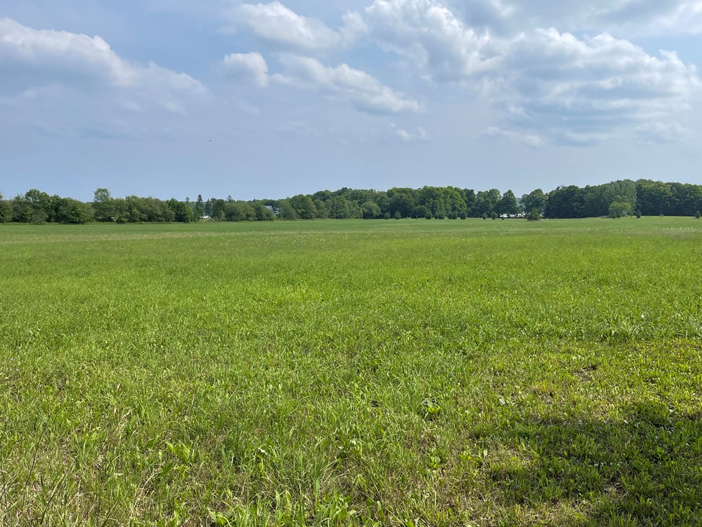 Tbd Fairview Road Baileys Harbor, WI 54202 - Photo 7 of 8